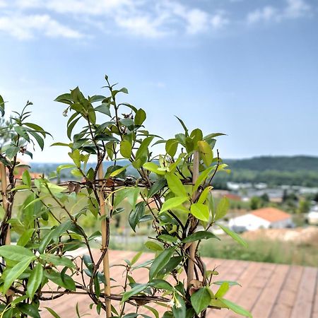 L'Elegante Confort, Clim & Vue Imprenable Bassillac 外观 照片